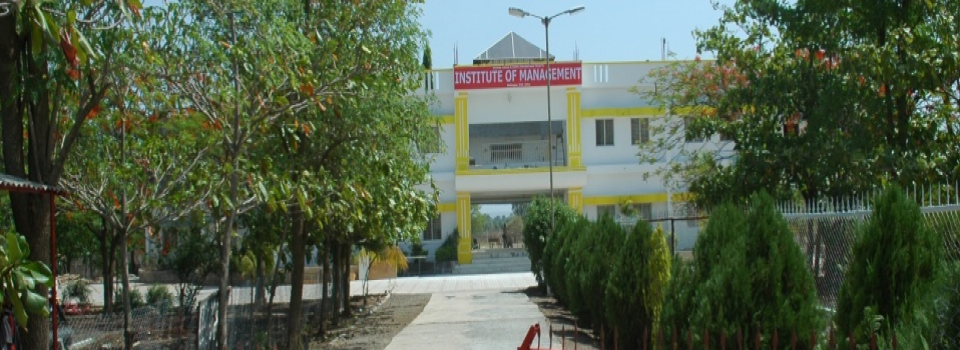 Institute of Management - IM_cover