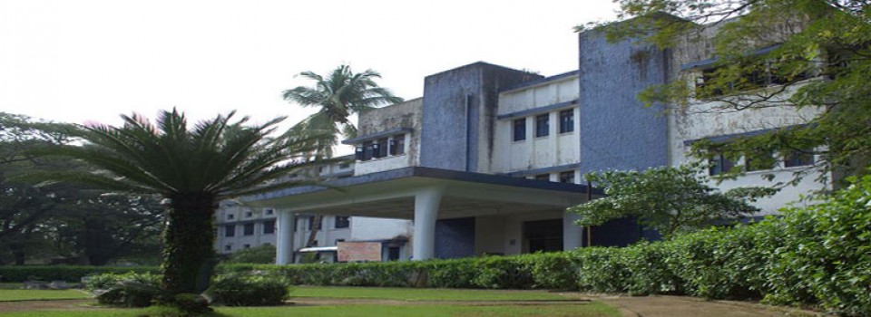 The Cochin College_cover