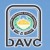 DAV College-logo