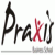 Praxis Business School-logo