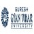 Gyan Vihar School Of Engineering And Technology-logo