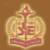 Shyam College of Education-logo