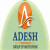 College of Nursing Adesh Institute Medical Science and Reserch-logo