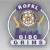 GIDC Rajju Shroff Rofel Institute of Management Studies-logo