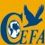 CEFA Institute of Mangement and Technology-logo
