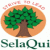 Selaqui Institute of Management-logo