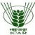 Central Coastal Agricultural Research Institute-logo