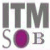 ITM School of Business-logo