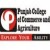 Punjab College of Commerce and Agriculture-logo